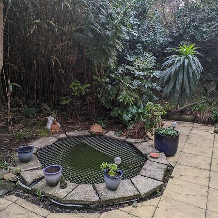 The Garden Apartment St Ives Exteriér fotografie